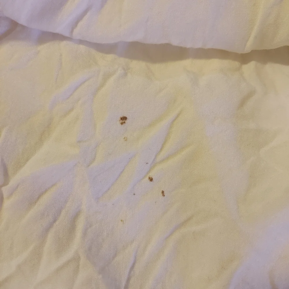 Miss Me Cream Boho Flowy Feminine Sleeveless Blouse With Tassel Ties - Picture 9 of 9